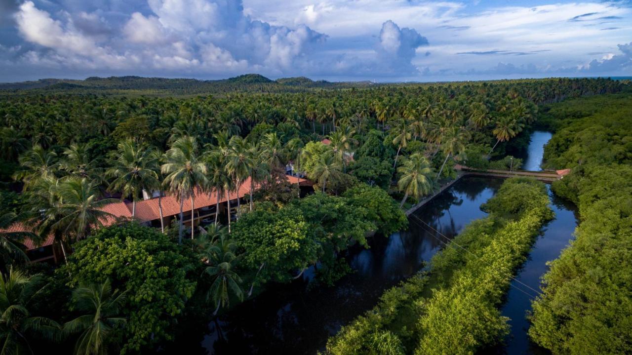 Eco Pousada Paraiso Dos Coqueirais Japaratinga Exterior photo